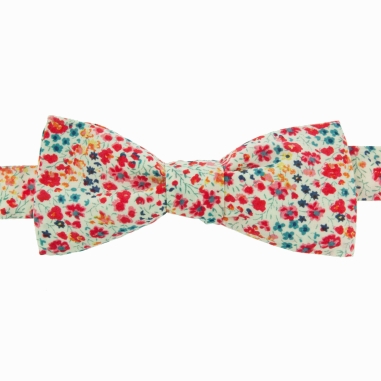Coral Phoebe Liberty bow tie