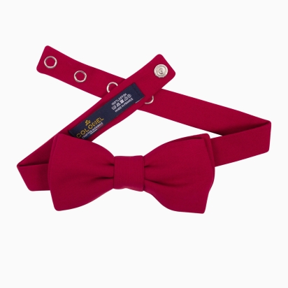 Noeud Papillon Bordeaux 2