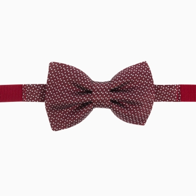 Burgundy Silk Milano Kid Bow Tie