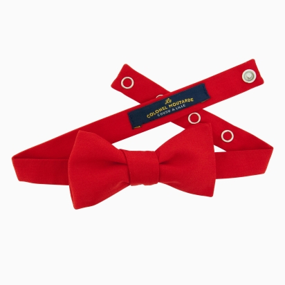 Noeud Papillon Rouge tomate