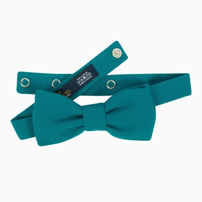 Blue Peacock Bow Tie 2