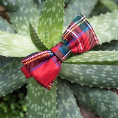 Noeud papillon Tartan Dickson rouge...