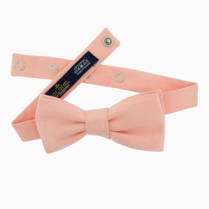 Apricot Bow Tie 2