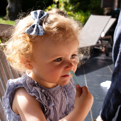 Lot de 2 BARRETTES - Liberty Camille...