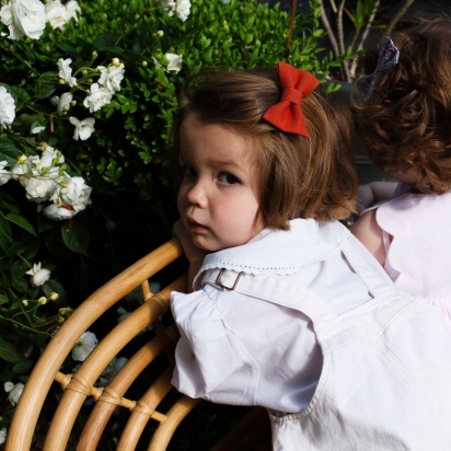 Lot de 2 BARRETTES - Liberty Wiltshire Whisky 2