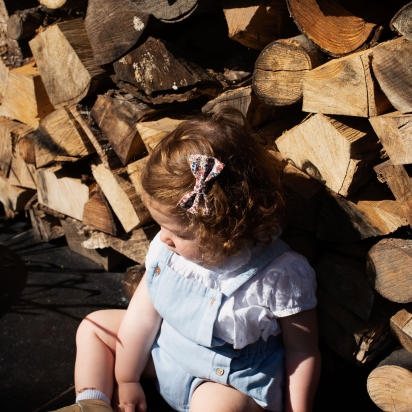 2 Girl's Hair clips - Liberty...