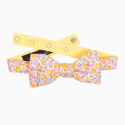Noeud papillon Liberty Wiltshire pamplemousse