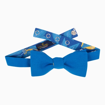 Noeud papillon bleu roi