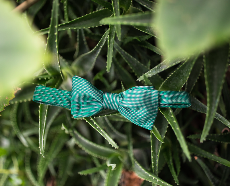 l'histoire du noeud papillon